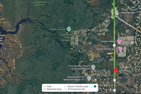 Land in Homosassa, Florida № 2383704 - photo 4