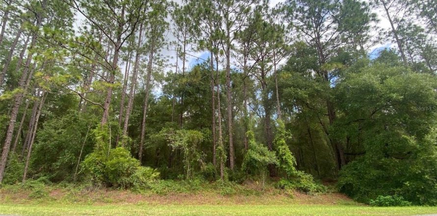 Terreno en Ocala, Florida № 1840112