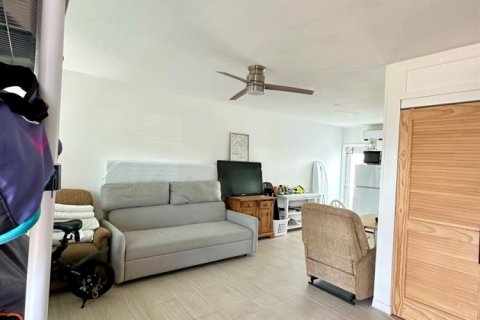 Copropriété à louer à Lauderdale-by-the-Sea, Floride: 1 chambre, 35.12 m2 № 2414643 - photo 6