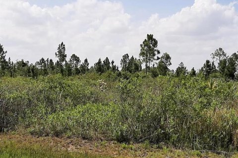 Land in Indian lake estates, Florida № 2160335