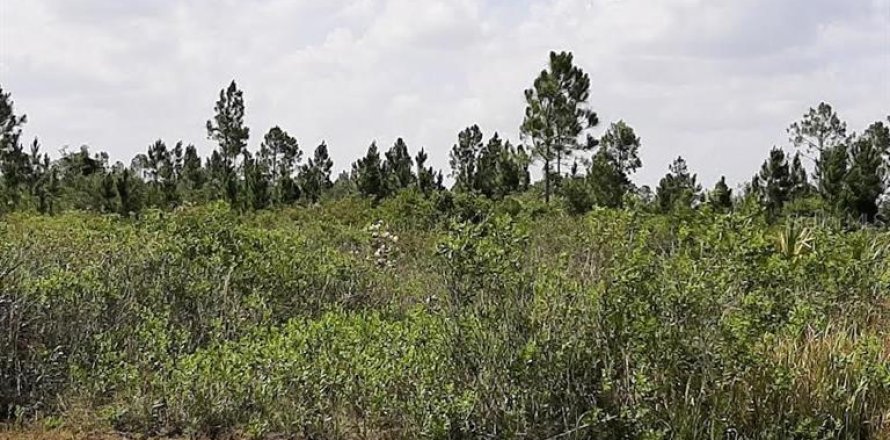 Land in Indian lake estates, Florida № 2160335