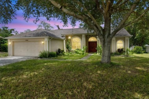 Villa ou maison à vendre à Spring Hill, Floride: 3 chambres, 216 m2 № 1883547 - photo 3