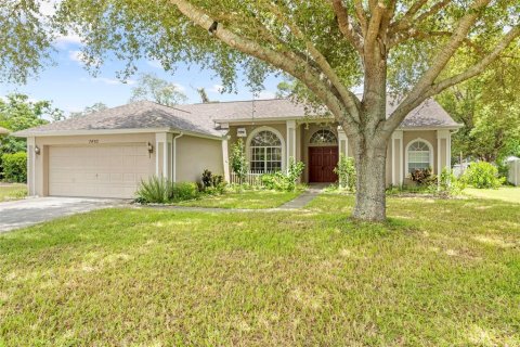 Villa ou maison à vendre à Spring Hill, Floride: 3 chambres, 216 m2 № 1883547 - photo 2