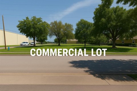 Land in Lake Wales, Florida № 1754837 - photo 1