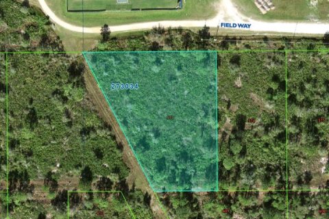 Land in Lake Wales, Florida № 2239524