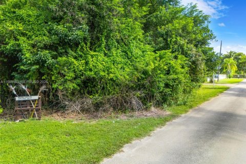 Land in Miami-Dade, Florida № 2051605