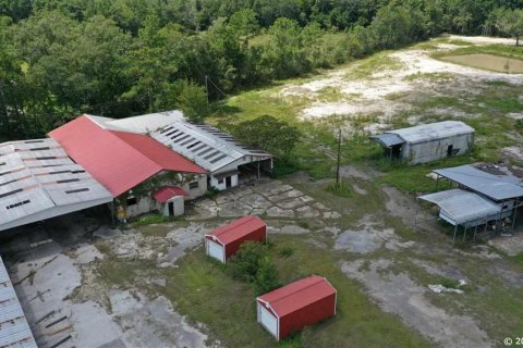 Commercial property in Hampton, Florida 0.09 sq.m. № 214227 - photo 9