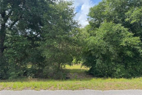 Land in Altoona, Florida № 2122775