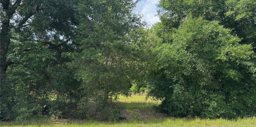 Land in Altoona, Florida № 2122775