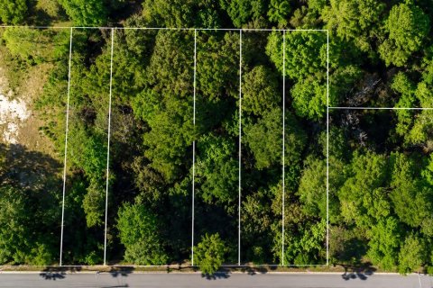 Terreno en Sanford, Florida № 2259509