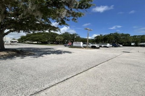 Immobilier commercial à vendre à Palm Coast, Floride: 116.5 m2 № 2304804 - photo 4
