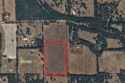 Terreno en Morriston, Florida № 2222573