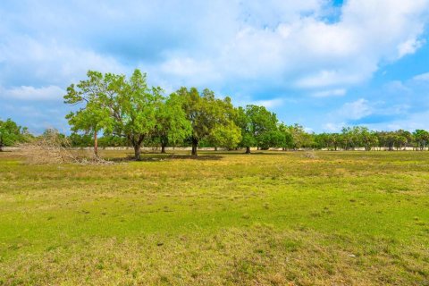 Land in Venice, Florida № 1849934 - photo 25