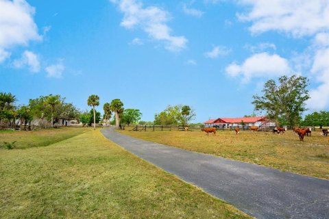 Land in Venice, Florida № 1849934 - photo 7