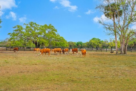 Land in Venice, Florida № 1849934 - photo 8