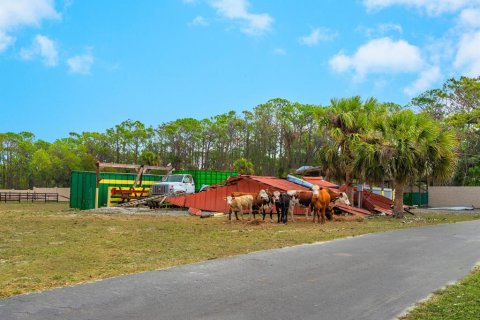 Land in Venice, Florida № 1849934 - photo 24
