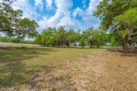 Land in Venice, Florida № 1849934 - photo 28