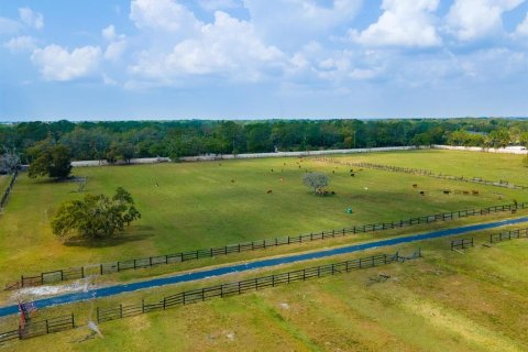 Land in Venice, Florida № 1849934 - photo 30