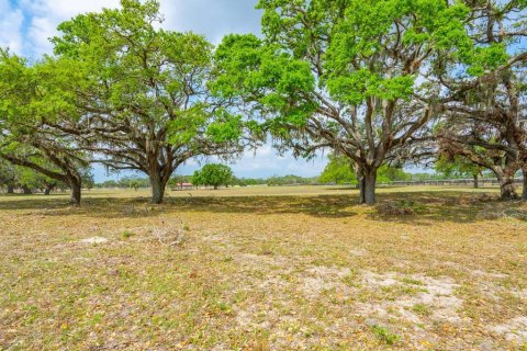 Land in Venice, Florida № 1849934 - photo 23