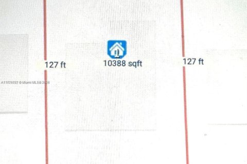 Купить виллу или дом в Майами-Шорс, Флорида 4 спальни, № 1928657 - фото 10