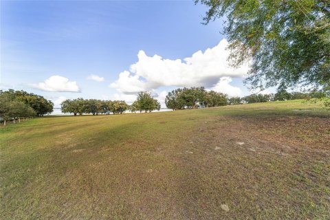 Land in Weirsdale, Florida № 1561758 - photo 13
