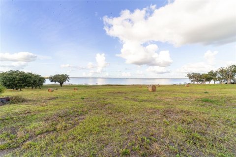 Land in Weirsdale, Florida № 1561758 - photo 29