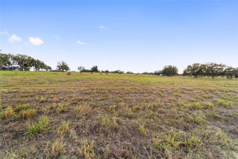 Terreno en venta en Weirsdale, Florida № 1561758 - foto 25