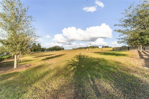 Terreno en venta en Weirsdale, Florida № 1561758 - foto 11