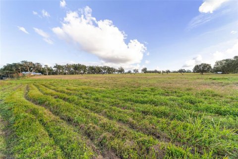 Terreno en venta en Weirsdale, Florida № 1561758 - foto 24
