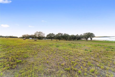Land in Weirsdale, Florida № 1561758 - photo 28
