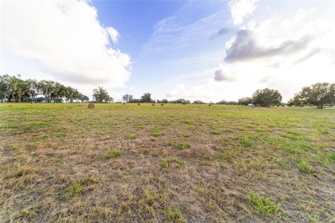 Terreno en venta en Weirsdale, Florida № 1561758 - foto 27