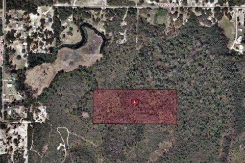 Terrain à DeLand, Floride № 2103936
