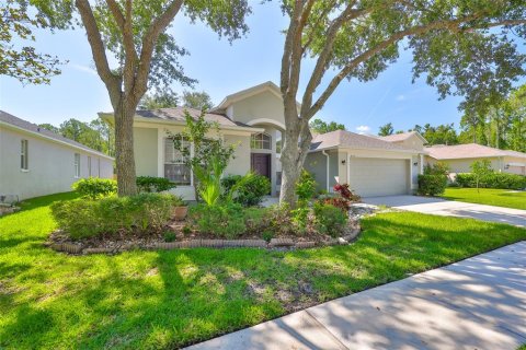 House in Tampa, Florida 3 bedrooms, 213.68 sq.m. № 1793699 - photo 4