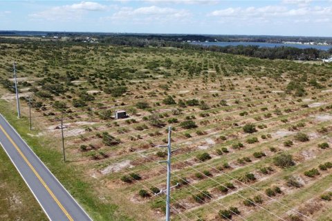 Land in Avon Park, Florida № 1403665 - photo 5