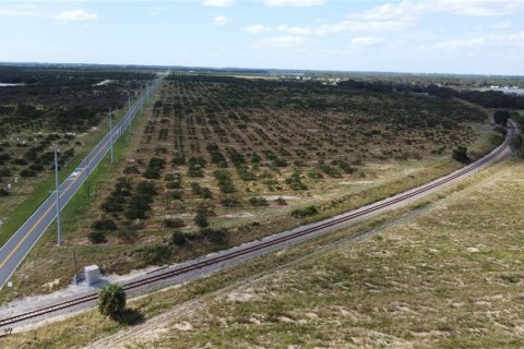 Land in Avon Park, Florida № 1403665 - photo 14