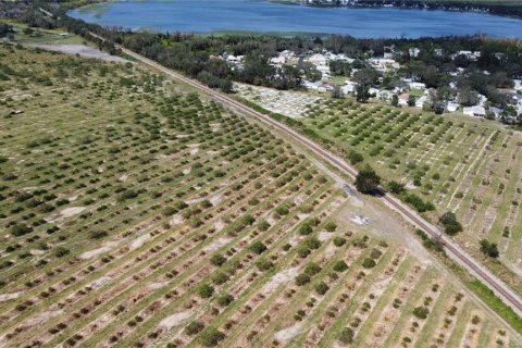 Land in Avon Park, Florida № 1403665 - photo 12