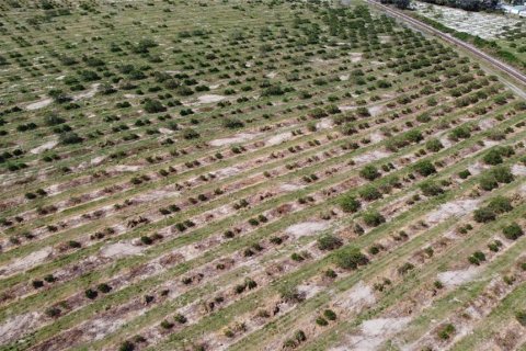Land in Avon Park, Florida № 1403665 - photo 11