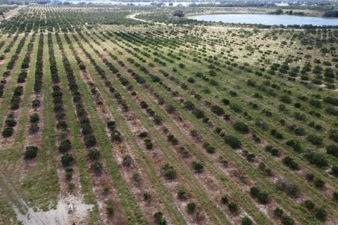 Land in Avon Park, Florida № 1403665 - photo 20