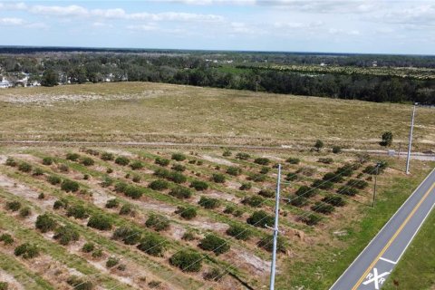 Land in Avon Park, Florida № 1403665 - photo 7