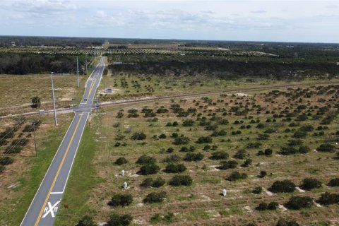Land in Avon Park, Florida № 1403665 - photo 9