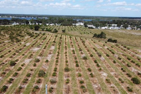 Land in Avon Park, Florida № 1403665 - photo 3