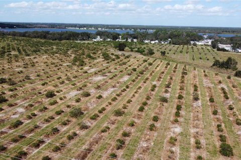 Land in Avon Park, Florida № 1403665 - photo 8