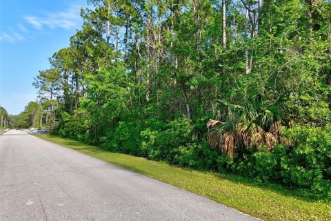Land in Palm Coast, Florida № 1658354 - photo 11