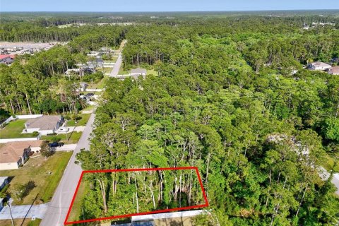 Land in Palm Coast, Florida № 1658354 - photo 3