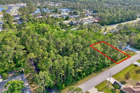 Land in Palm Coast, Florida № 1658354 - photo 8
