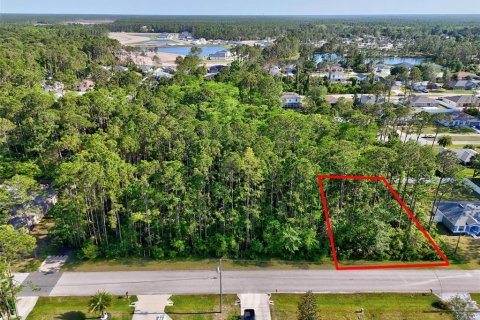 Land in Palm Coast, Florida № 1658354 - photo 1