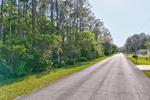 Land in Palm Coast, Florida № 1658354 - photo 10