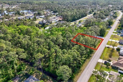 Land in Palm Coast, Florida № 1658354 - photo 7