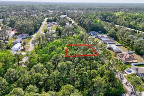 Land in Palm Coast, Florida № 1658354 - photo 6