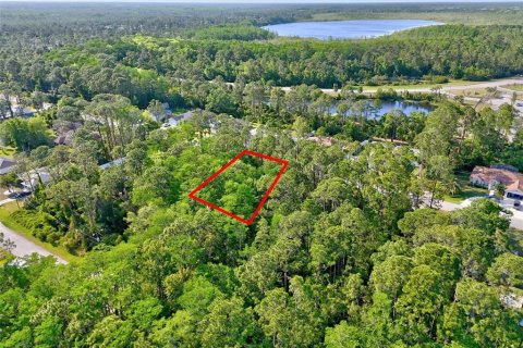 Land in Palm Coast, Florida № 1658354 - photo 5